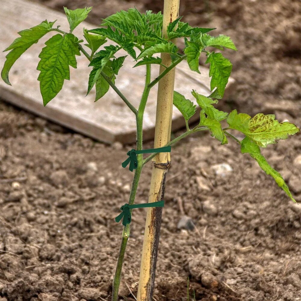 1 Stück grüner Gartenseil-Stof – Home Office Word Bewertung und Preis