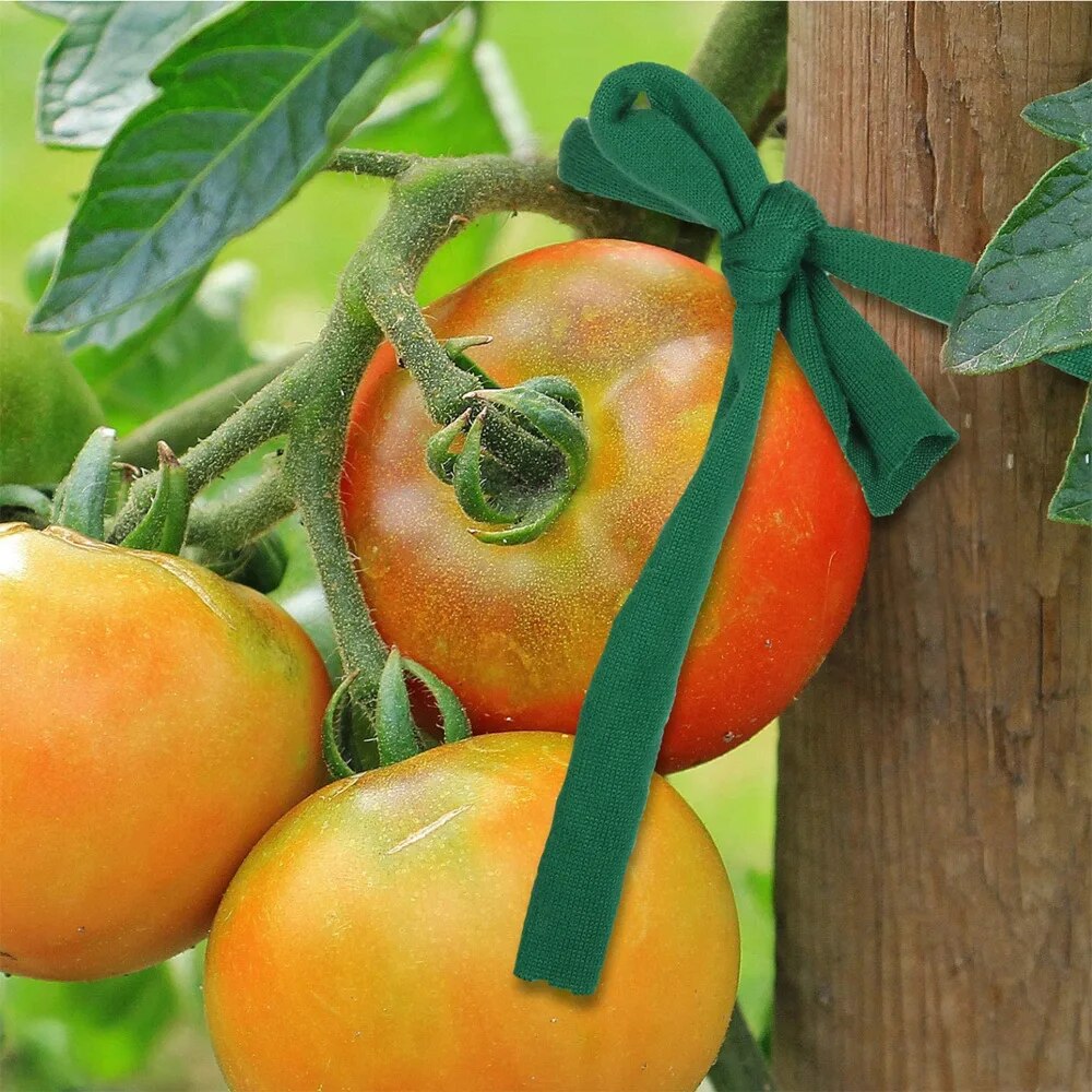 1 Stück grüner Gartenseil-Stof – Home Office Word Bewertung und Preis